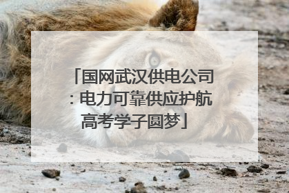 国网武汉供电公司：电力可靠供应护航高考学子圆梦