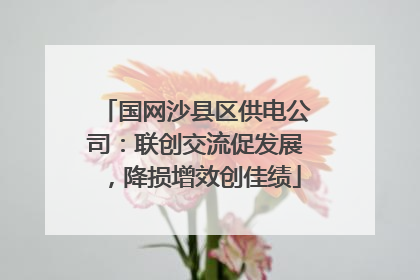 国网沙县区供电公司：联创交流促发展，降损增效创佳绩