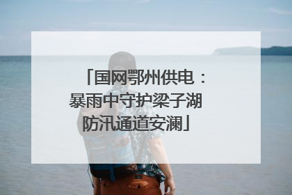 国网鄂州供电：暴雨中守护梁子湖防汛通道安澜