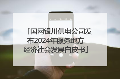 国网银川供电公司发布2024年服务地方经济社会发展白皮书