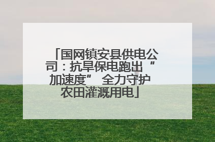 国网镇安县供电公司：抗旱保电跑出“加速度” 全力守护农田灌溉用电