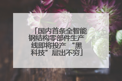 国内首条全智能钢结构零部件生产线即将投产 “黑科技”层出不穷
