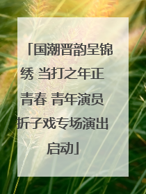 国潮晋韵呈锦绣 当打之年正青春 青年演员折子戏专场演出启动