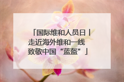 国际维和人员日丨走近海外维和一线 致敬中国“蓝盔”