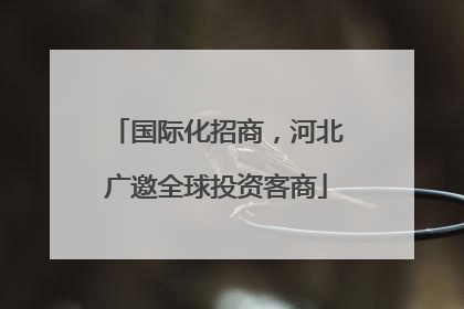 国际化招商，河北广邀全球投资客商