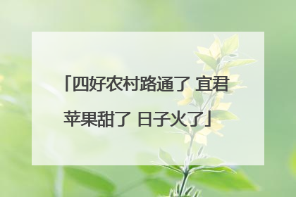四好农村路通了 宜君苹果甜了 日子火了