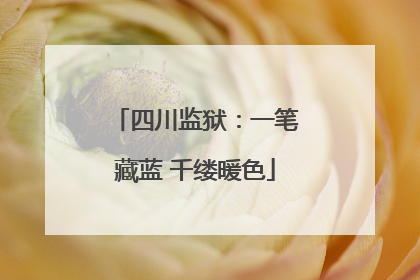 四川监狱：一笔藏蓝 千缕暖色
