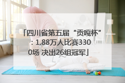 四川省第五届“贡嘎杯”：1.88万人比赛3300场 决出26组冠军
