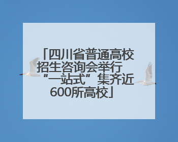 四川省普通高校招生咨询会举行 “一站式”集齐近600所高校