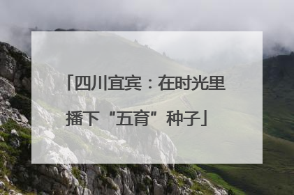 四川宜宾：在时光里播下“五育”种子