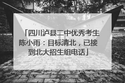 四川泸县二中优秀考生陈小雨：目标清北，已接到北大招生组电话