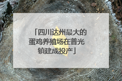 四川达州最大的蛋鸡养殖场在普光镇建成投产