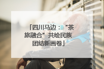四川马边：“茶旅融合”共绘民族团结新画卷
