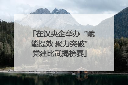 在汉央企举办“赋能提效 聚力突破”党建比武揭榜赛