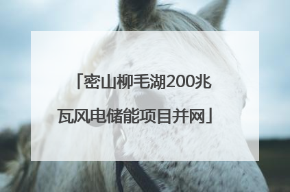 密山柳毛湖200兆瓦风电储能项目并网