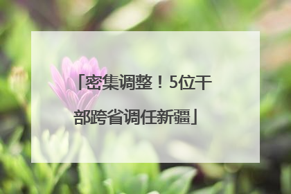 密集调整！5位干部跨省调任新疆