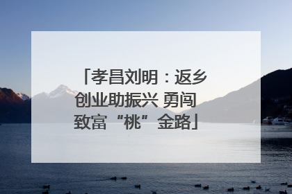 孝昌刘明：返乡创业助振兴 勇闯致富“桃”金路