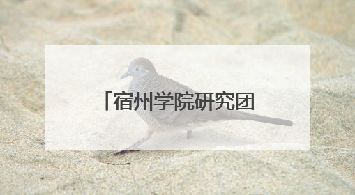 宿州学院研究团队在生物传感领域顶级期刊发表多篇研究成果