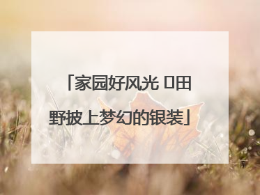 家园好风光 ⎮田野披上梦幻的银装