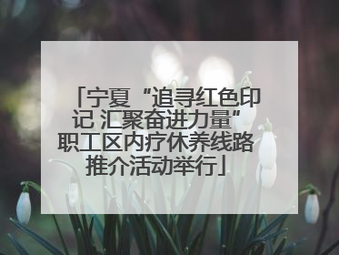 宁夏“追寻红色印记 汇聚奋进力量”职工区内疗休养线路推介活动举行