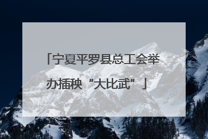 宁夏平罗县总工会举办插秧“大比武”
