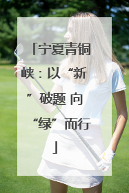 宁夏青铜峡：以“新”破题 向“绿”而行