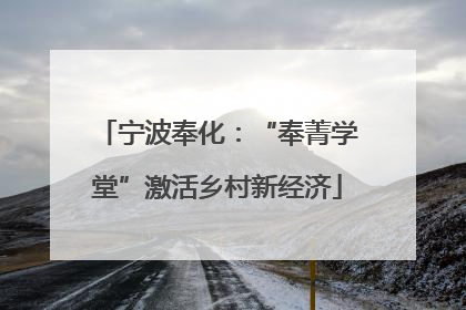 宁波奉化：“奉菁学堂”激活乡村新经济