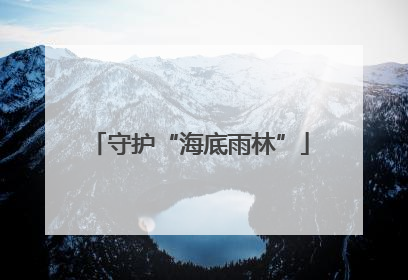 守护“海底雨林”