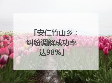 安仁竹山乡：纠纷调解成功率达98%