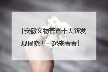 安徽文物普查十大新发现揭晓！一起来看看