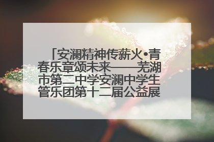 安澜精神传薪火•青春乐章颂未来——芜湖市第二中学安澜中学生管乐团第十二届公益展演圆满举行