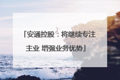 安通控股：将继续专注主业 增强业务优势