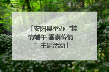 安阳县举办“粽情端午 香囊传情”主题活动