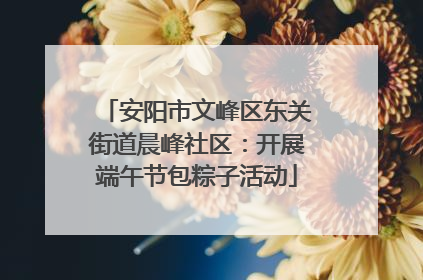 安阳市文峰区东关街道晨峰社区：开展端午节包粽子活动
