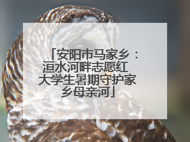 安阳市马家乡：洹水河畔志愿红 大学生暑期守护家乡母亲河