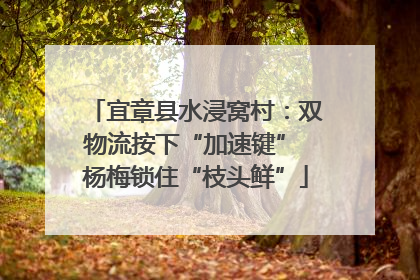 宜章县水浸窝村：双物流按下“加速键” 杨梅锁住“枝头鲜”