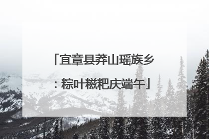 宜章县莽山瑶族乡：粽叶糍粑庆端午