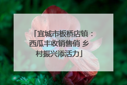 宜城市板桥店镇：西瓜丰收销售俏 乡村振兴添活力