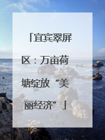 宜宾翠屏区：万亩荷塘绽放“美丽经济”