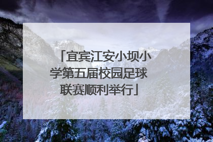 宜宾江安小坝小学第五届校园足球联赛顺利举行