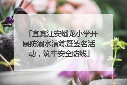 宜宾江安蟠龙小学开展防溺水演练暨签名活动，筑牢安全防线