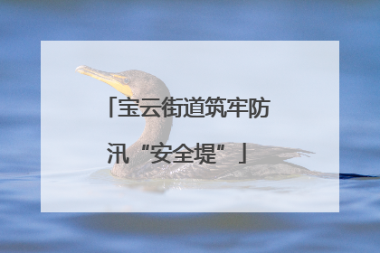 宝云街道筑牢防汛“安全堤”