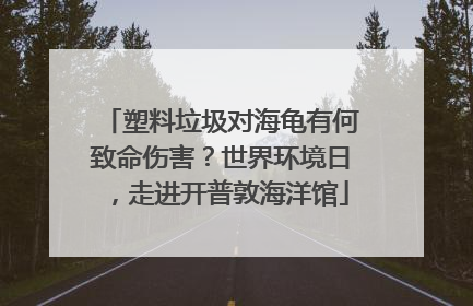 塑料垃圾对海龟有何致命伤害？世界环境日，走进开普敦海洋馆