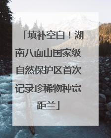 填补空白！湖南八面山国家级自然保护区首次记录珍稀物种宽距兰