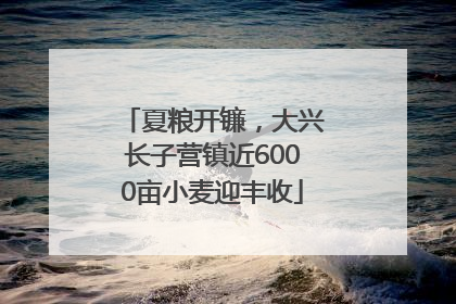 夏粮开镰，大兴长子营镇近6000亩小麦迎丰收
