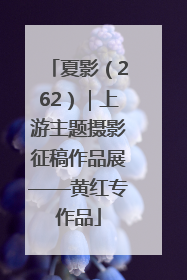 夏影（262）｜上游主题摄影征稿作品展——黄红专作品