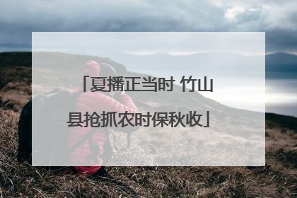 夏播正当时 竹山县抢抓农时保秋收