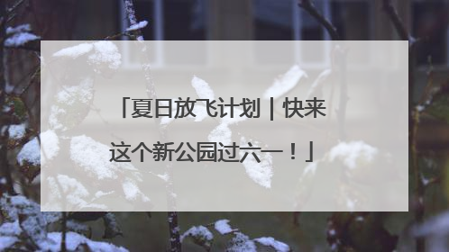 夏日放飞计划｜快来这个新公园过六一！