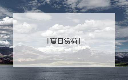 夏日赏荷
