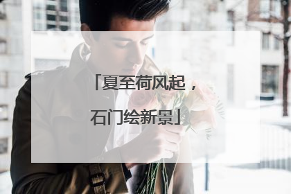 夏至荷风起，石门绘新景